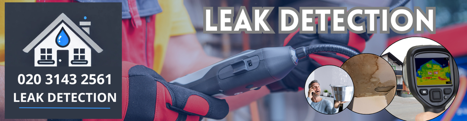 Gray's Inn Leak Detection