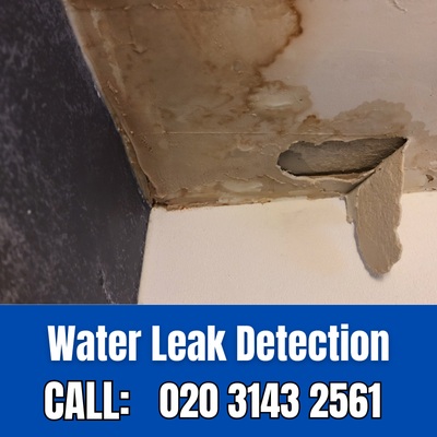 Expert Water Leak Detection Services in Gray's Inn | Gray's Inn Leak Detection